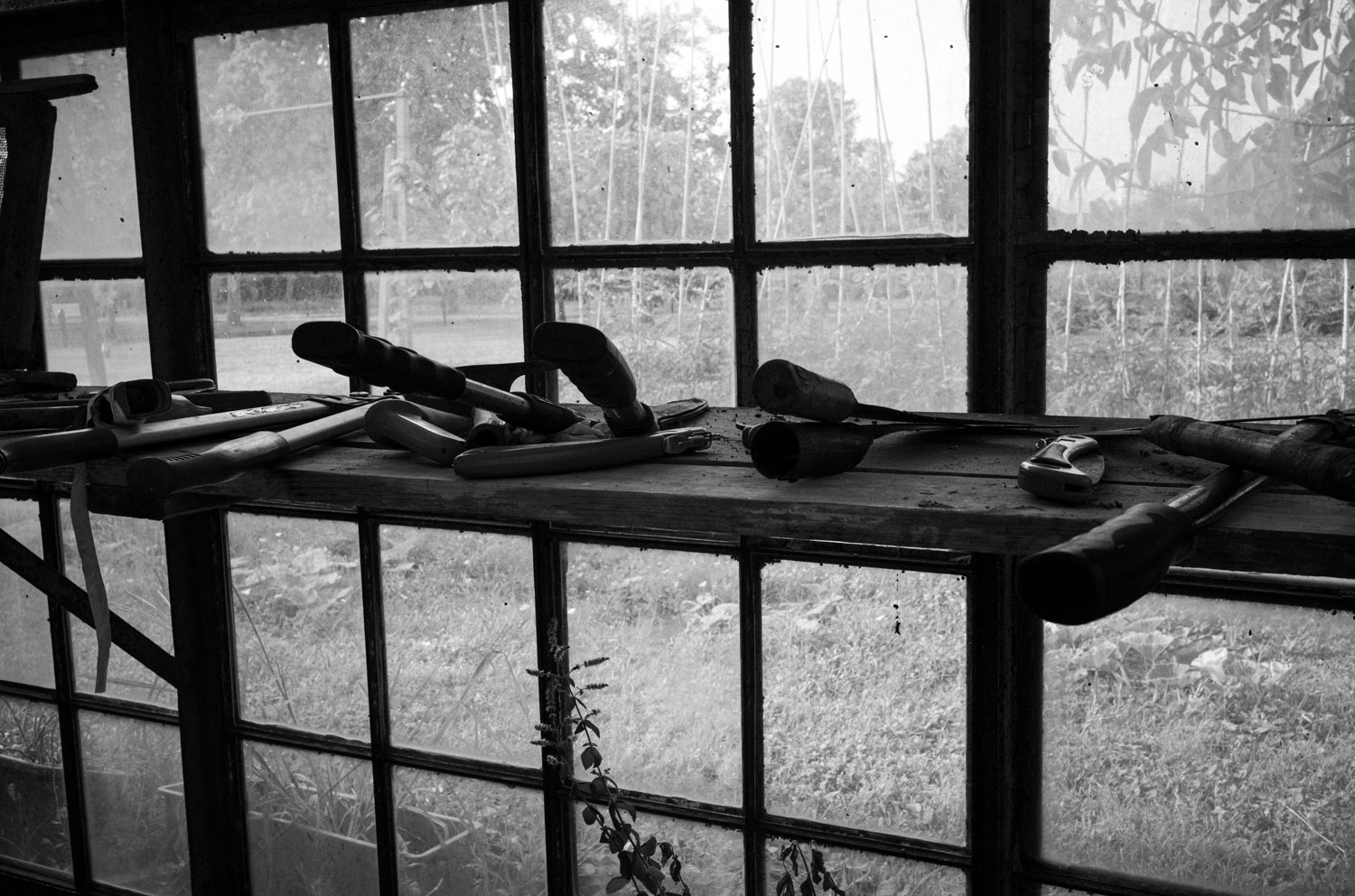 Tools in the Greenhouse, photograph by Carlo Soffietti, 2021